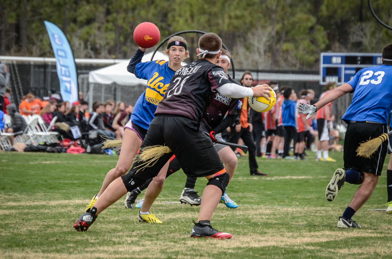 Quidditch, Wiki Media