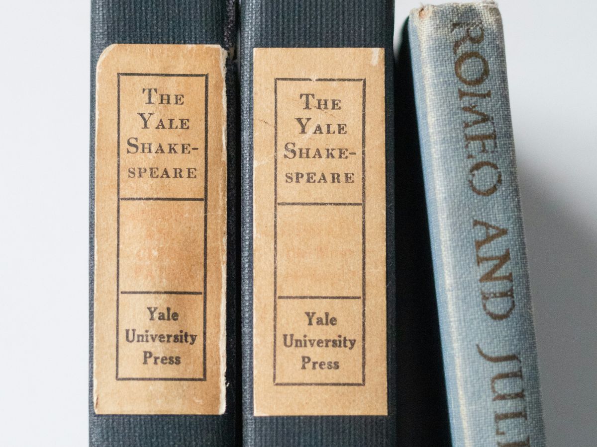 Shakespeare Couldn