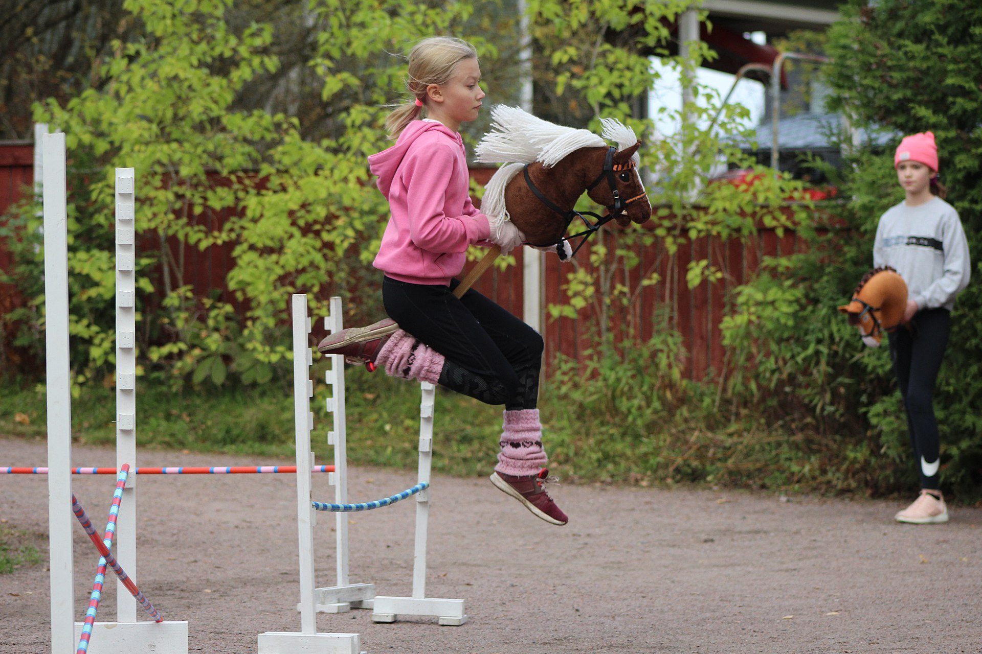 hobby horsing, Wiki Media