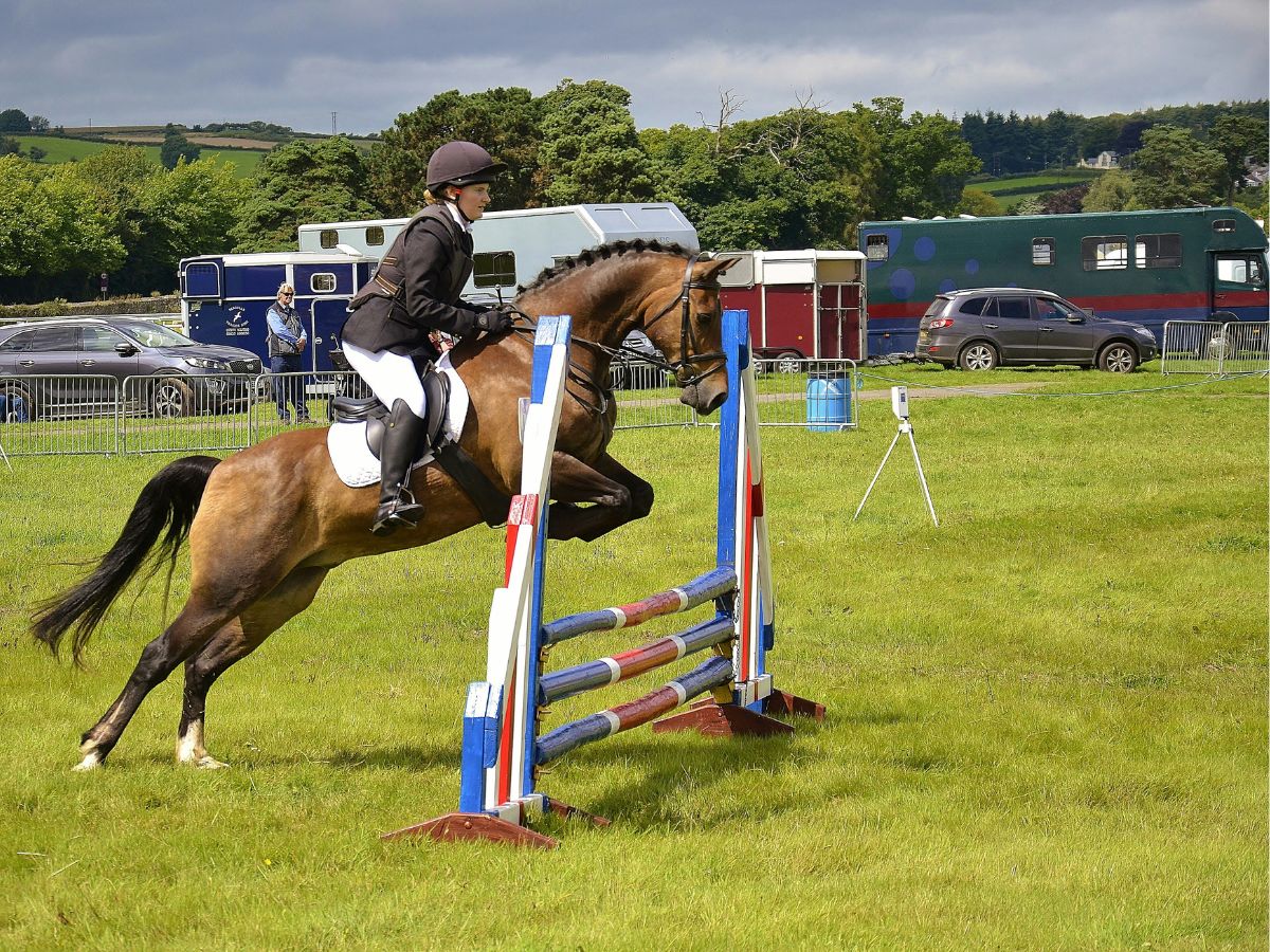 Equestrian Expensive Sport, Unsplash