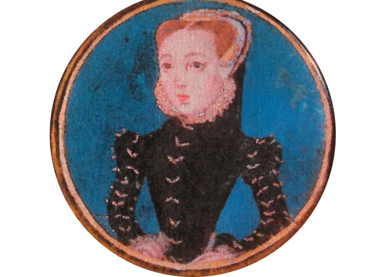 Amy Robsart Wiki Media