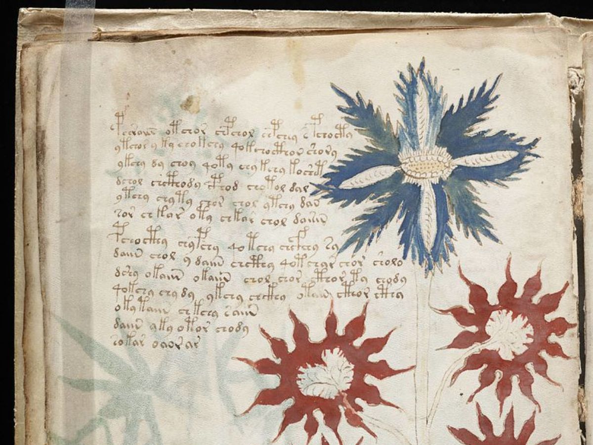 Voynich Manuscript Wiki Commons