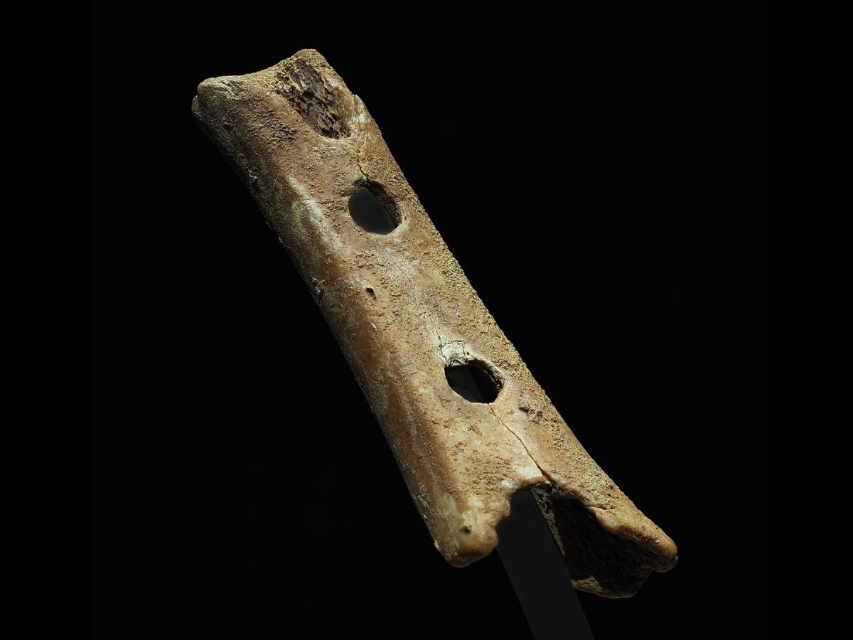 Divje Babe Flute Wiki Commons
