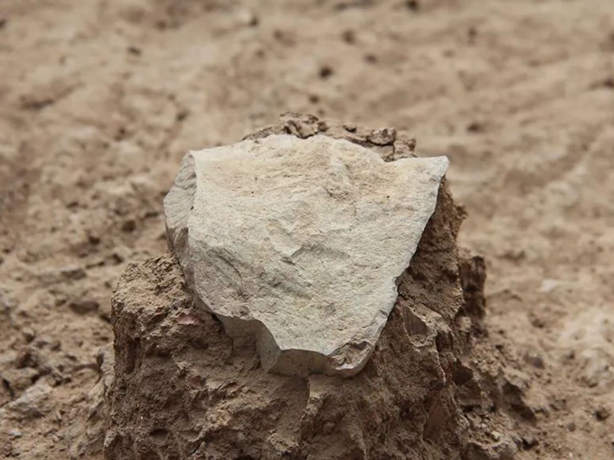 Lomekwi Stone Tools Smithsonian Magazine