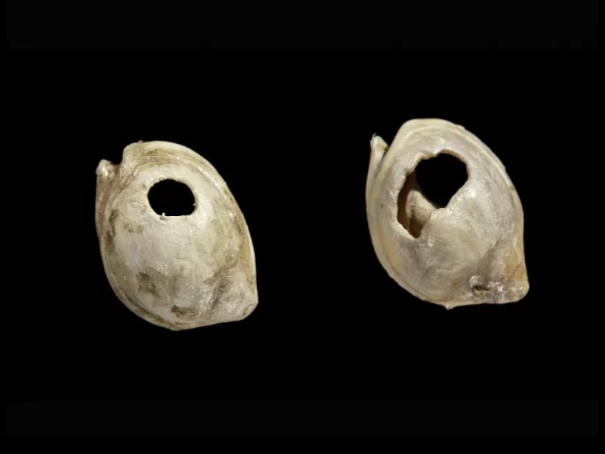 Skhul Cave Beads Smithsonian National Museum of Natural History