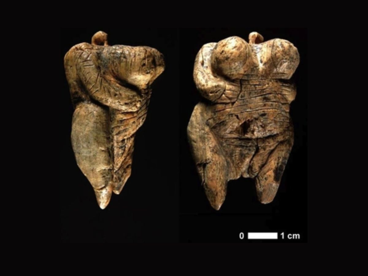 Venus of Hohle Fels Wiki Commons