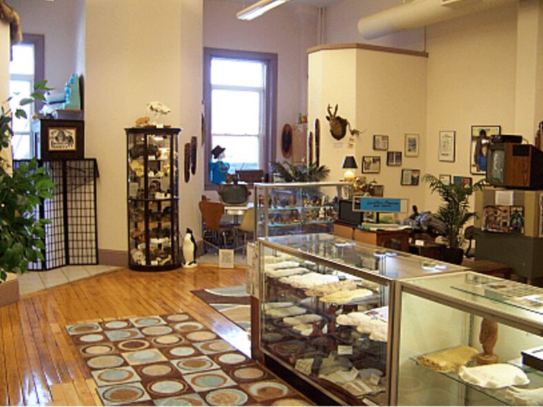 International Cryptozoology Museum