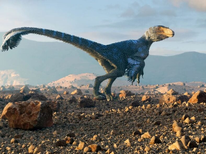 Sinosauropteryx Britannaca