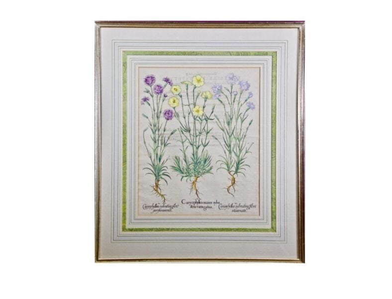Basilius Besler Cottage Flowers 1st Dibs