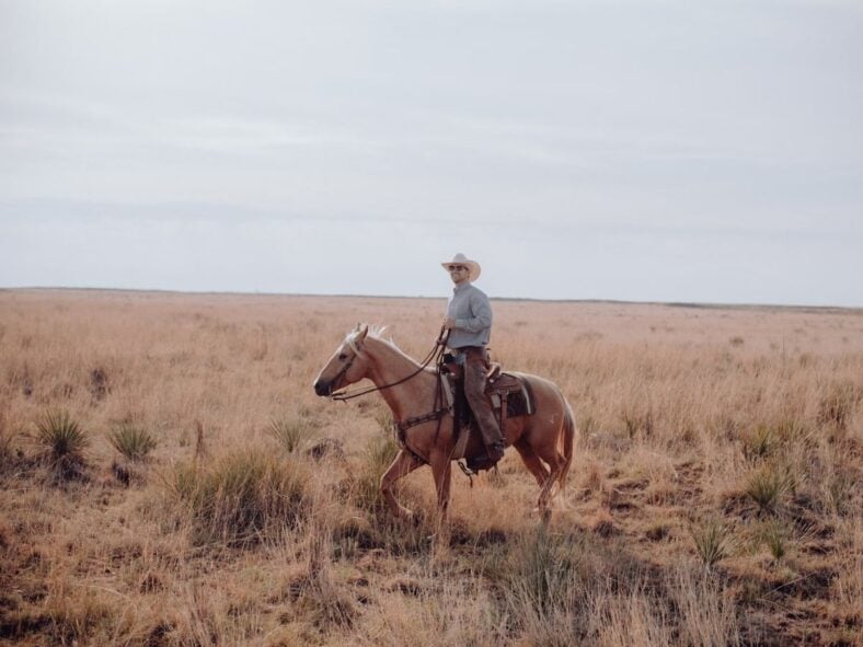 Honor Horses Unsplash