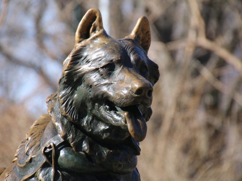 animals that changed history