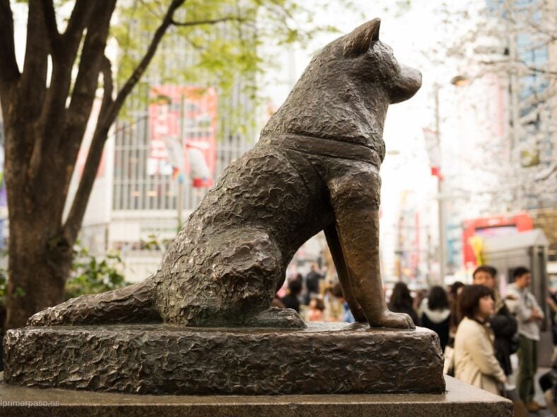 animals that changed history