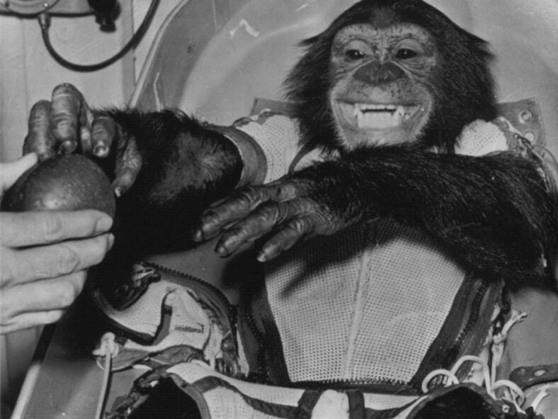 animals that changed history