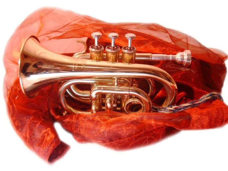 antique musical instruments