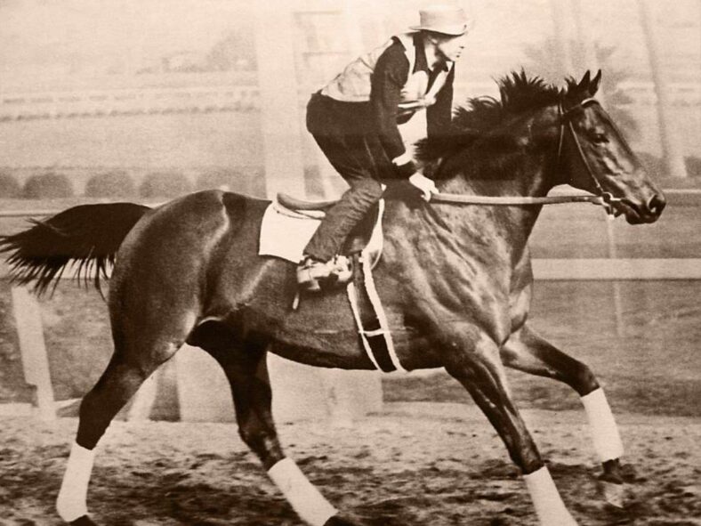animals that changed history