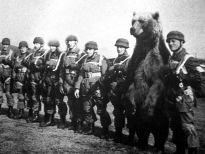 animals that changed history