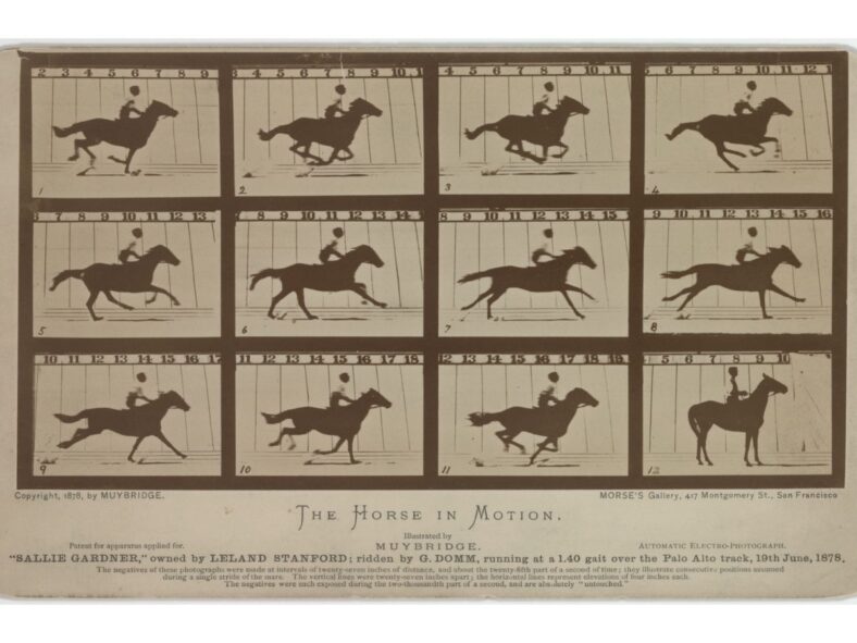 Galloping Horse by Eadweard Muybridge Wiki Commons